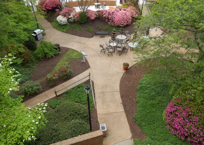 Cheap hotel: Fort Magruder Historic Williamsburg, Trademark By Wyndham